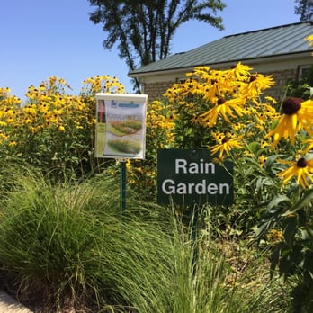 McDonald Farm - Rain garden area - Botanical Gardens Near Me - Naperville, Illinois