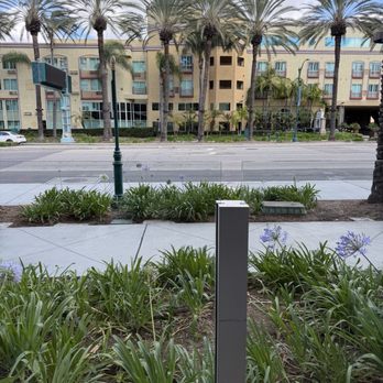 The Coffee Bean & Tea Leaf - Another Beautiful Day in Anaheim today - Coffee & Tea Near Me - Anaheim, California The Coffee Bean & Tea Leaf - Another Beautiful Day in Anaheim today - Coffee & Tea Near Me - Anaheim, California