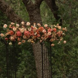 Natalie Galasso Designs