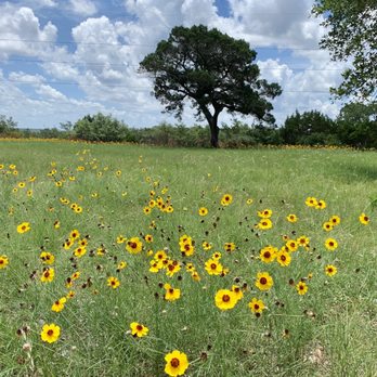 Devil’s Backbone Overlook - Local Flavor Near Me - Canyon Lake, Texas Devil’s Backbone Overlook - Local Flavor Near Me - Canyon Lake, Texas