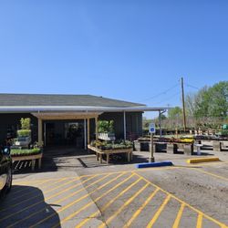 Jackson's Greenhouse