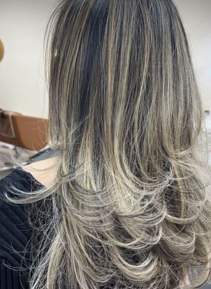 DEEVAS HAIR DOMINICAN SALON Updated July 2024 102 Photos 1900