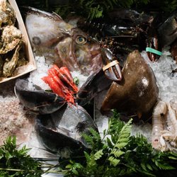 Fish Market Trastevere - Only Fresh Fish!