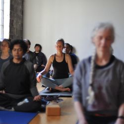 Yoga Mechanics