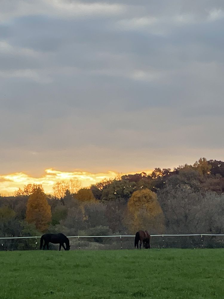 Klein Sporthorses International - equestrian in Ann Arbor, MI