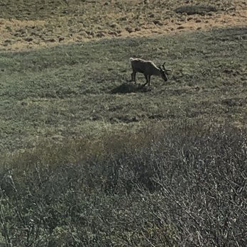 Denali National Park - Parks Near Me