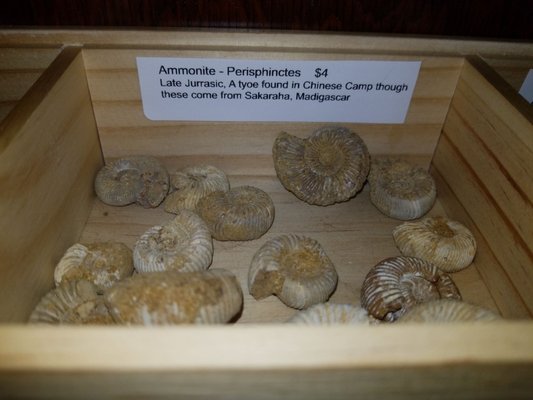 Chinese Camp Store And Tavern by null