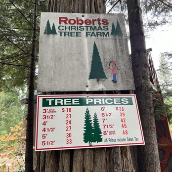 Roberts Christmas Tree Farm - Prices 2023 - Christmas Trees Near Me - Pollock Pines, California Roberts Christmas Tree Farm - Prices 2023 - Christmas Trees Near Me - Pollock Pines, California