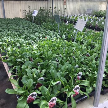 Flower Farm - Nurseries & Gardening Near Me - Great Falls, Montana
