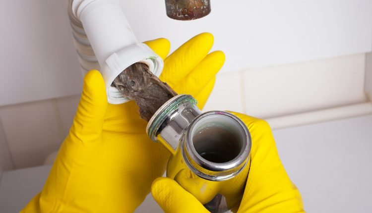 Slide of The Clog Heroes