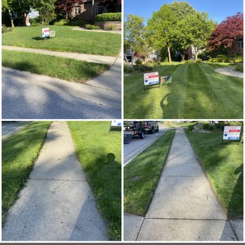 The Grass Guy - a series of photos of a lawn - Lawn Services Near Me The Grass Guy - a series of photos of a lawn - Lawn Services Near Me