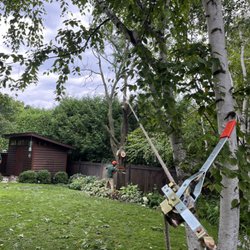 Elite Tree Services