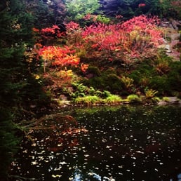 a pond at ohme gardens during the fall season a pond at ohme gardens during the fall season