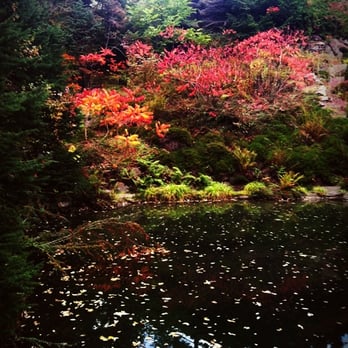 Ohme Gardens - a pond at ohme gardens during the fall season - Tours Near Me - Wenatchee, Washington Ohme Gardens - a pond at ohme gardens during the fall season - Tours Near Me - Wenatchee, Washington