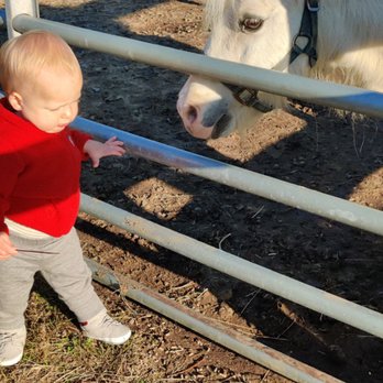 Festival Farm - Attraction Farms Near Me - Hope Valley, Rhode Island