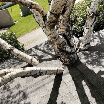 TDC Roofing - We can roof around anything!! - Roofing Near Me TDC Roofing - We can roof around anything!! - Roofing Near Me