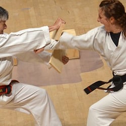 Mejishi Martial Arts