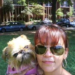 Wagging and Walking