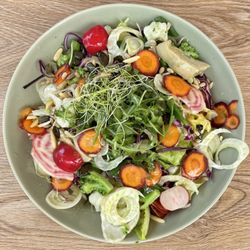 Oli's Break - Vegetarian Salad