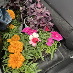 Palmer Nursery