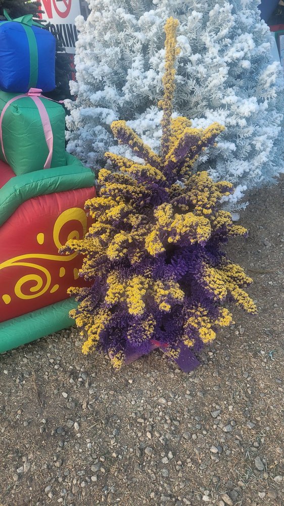 LA CRESCENTA CHRISTMAS TREES Updated October 2024 27 Photos & 33