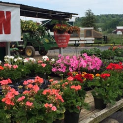 Paugh's Orchard - We offer flowers when in season!