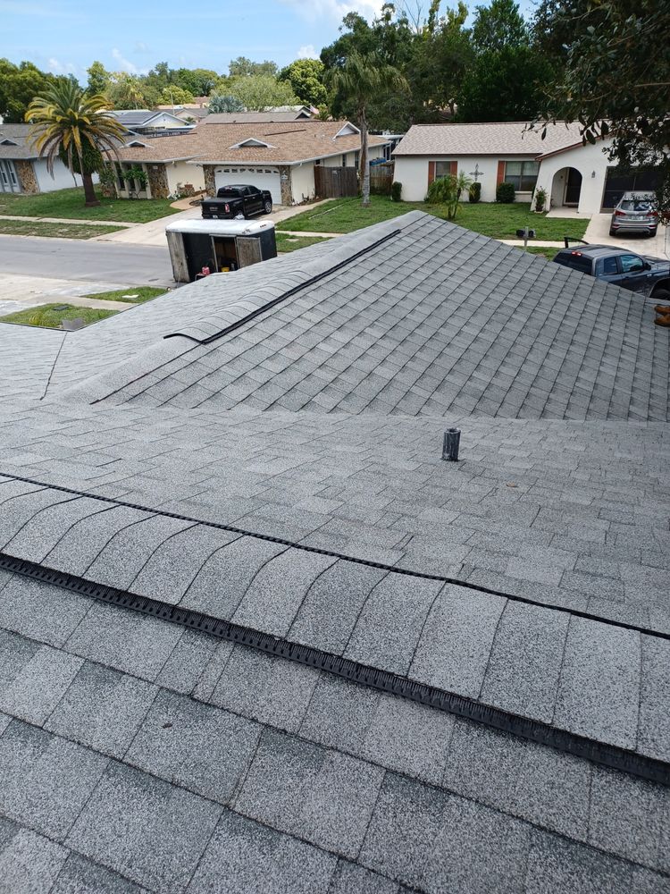 Slide of Dunedin Roofing