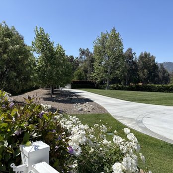 Marcelino's Tree Service - Front yard trees - Tree Services Near Me - Hemet, California