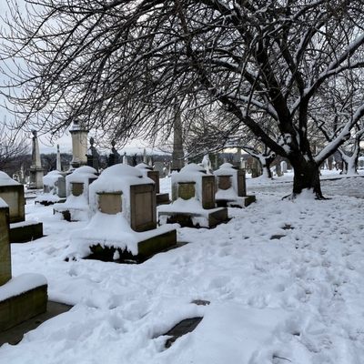 Congressional Cemetery by null
