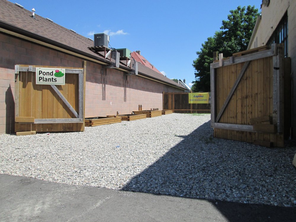 PETS N PONDS Updated September 2024 11 Frank Street, Strathroy