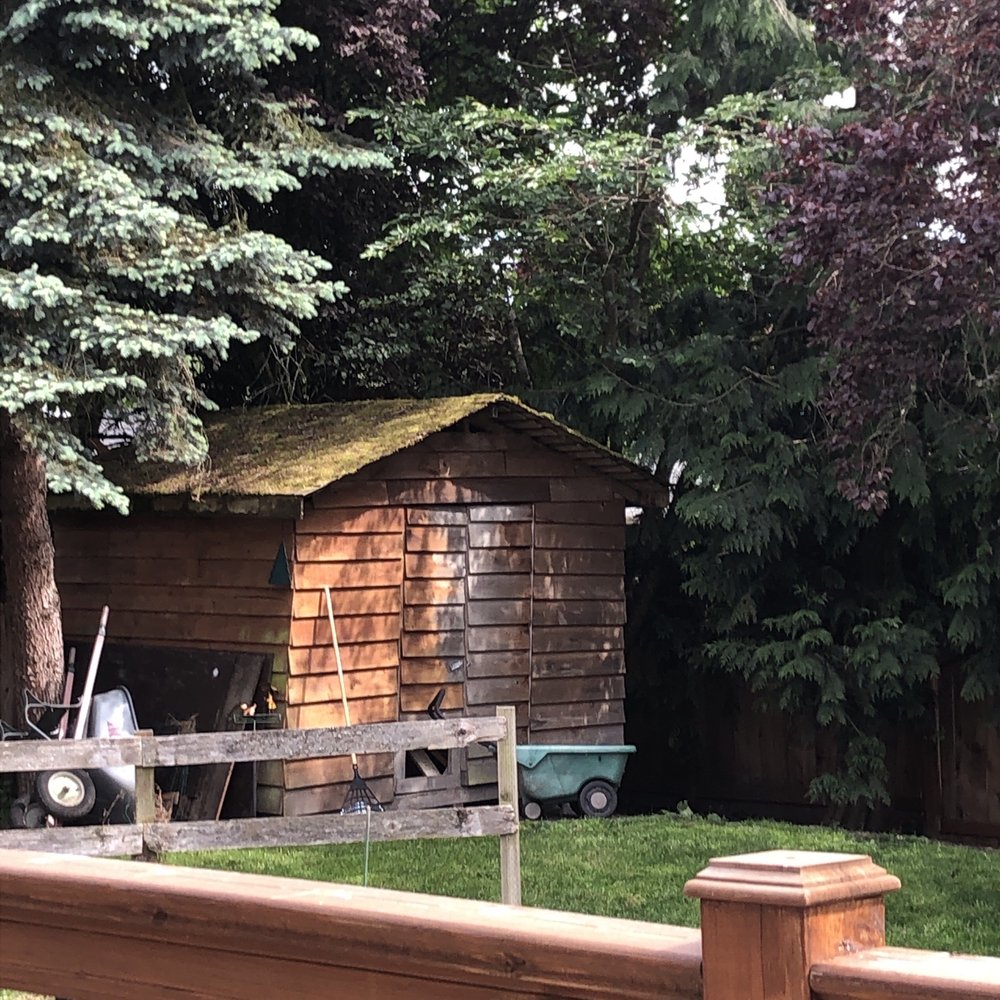 Budget Hauling - Shed to be removed - Junk Removal & Hauling Near Me - Seattle, Washington