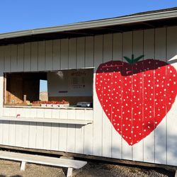 Yumm Strawberry - Elk Grove - Front stand