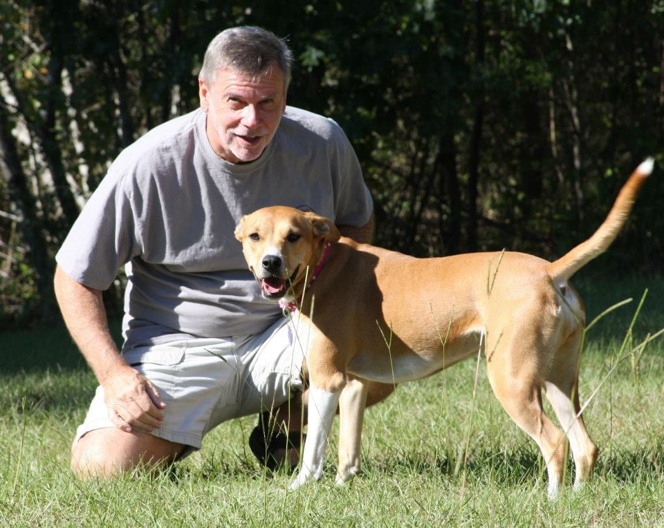 Joe WIlson, LPC Therapist in Athens - grief counselor in Athens, Georgia, GA