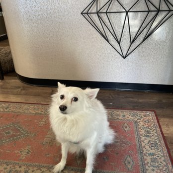 Paul's Jewelers - Luna-Paul's Jewelers weekend Greeter - Jewelry Near Me - West Allis, Wisconsin Paul's Jewelers - Luna-Paul's Jewelers weekend Greeter - Jewelry Near Me - West Allis, Wisconsin