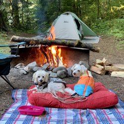 Money Creek Campground - Site 19