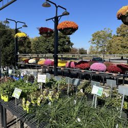 Bennett's Greenhouse