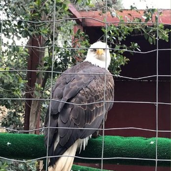 Wildlife Learning Center - Zoos Near Me - Sylmar, California Wildlife Learning Center - Zoos Near Me - Sylmar, California