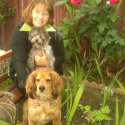 cat boarding manhattan