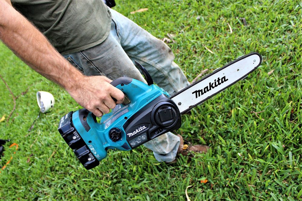 TREE OF LIFE ARBOR CARE Updated July 2024 Kapaa, Hawaii Tree