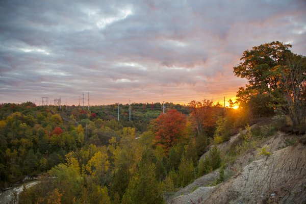 Rouge National Urban Park by null