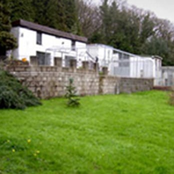 hideaway dog boarding