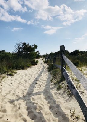 Assateague Island National Seashore by null