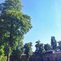 Photo of Abbaye de Forest