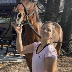 AAA Equestrian