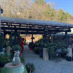 Mustard Seed Market