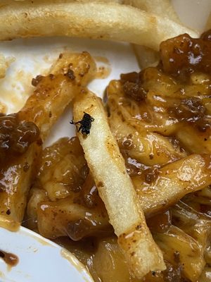 Wienerschnitzel by null