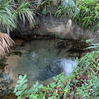 Gemini Springs Park - One of the springs - Parks Near Me - Debary, Florida