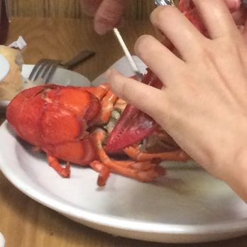 Mainely Lobster & Seafood - Seafood Markets Near Me - Plattsburgh, New York Mainely Lobster & Seafood - Seafood Markets Near Me - Plattsburgh, New York