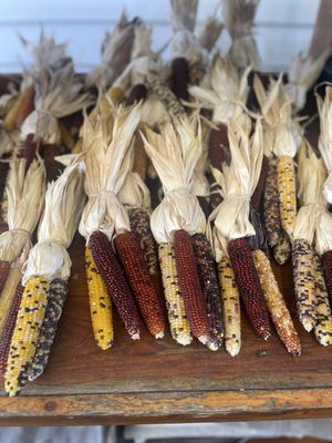 Briermere Farms by null