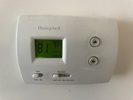 Festival Park by null